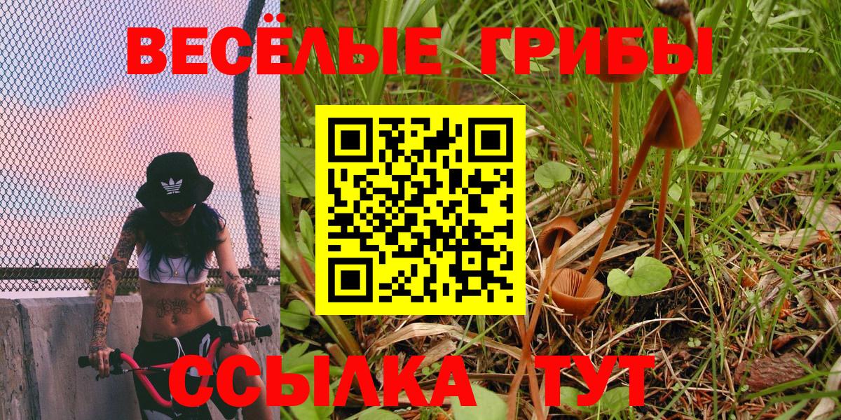 Псилоцибиновые грибы GOLDEN TEACHER Петропавловск-Камчатский
