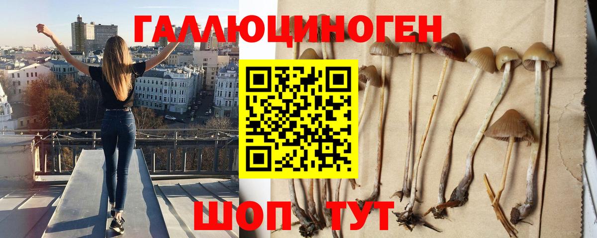 Петропавловск-Камчатский  Псилоцибиновые грибы Magic Shrooms  Вход с VPN  Псилоцибиновые грибы Magic Shrooms 